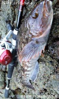 �����ʥ�