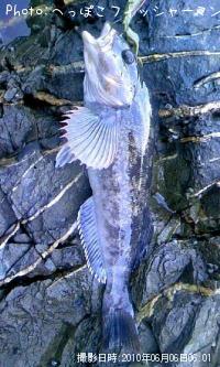 �����ʥ�