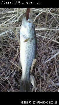 ¥Ö¥é¥Ã¥¯¥Ð¥¹