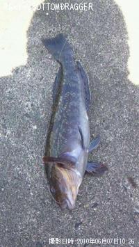 �����ʥ�