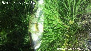 ¥Ö¥é¥Ã¥¯¥Ð¥¹