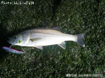 �����Х�