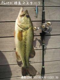 �֥�å��Х�