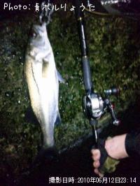 �����Х�