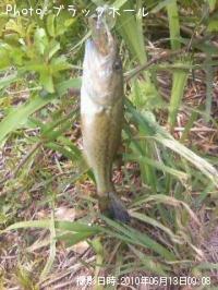 �֥�å��Х�