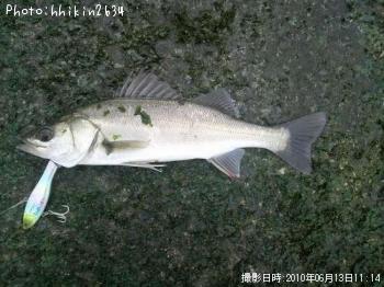 �����Х�