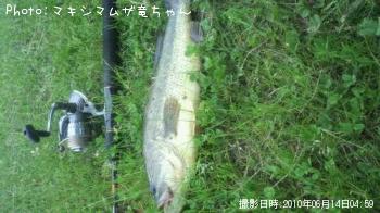 �֥�å��Х�