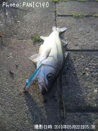 �����Х�