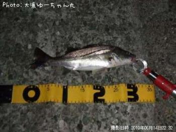 �����Х�