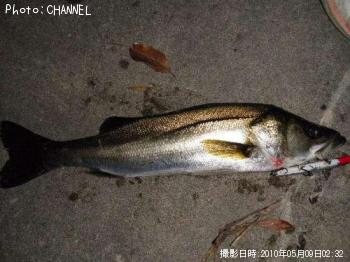 �����Х�