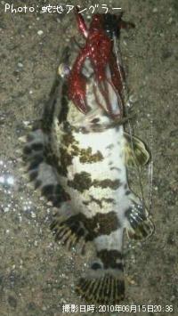 ¥¿¥±¥Î¥³¥á¥Ð¥ë