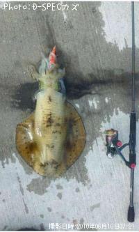 ¥¢¥ª¥ê¥¤¥«