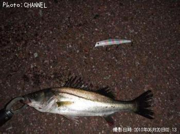 �����Х�