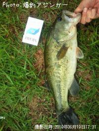 ¥Ö¥é¥Ã¥¯¥Ð¥¹