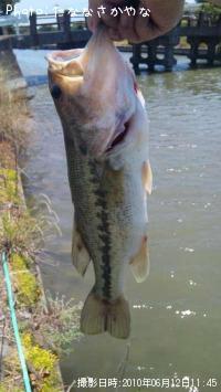 �֥�å��Х�