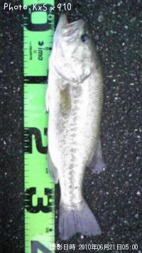 ¥Ö¥é¥Ã¥¯¥Ð¥¹