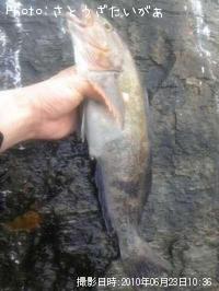 �����ʥ�