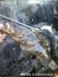 �����Υ���Х�