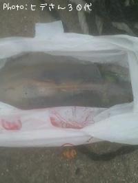 ¥¢¥ª¥ê¥¤¥«