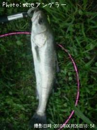 �����Х�