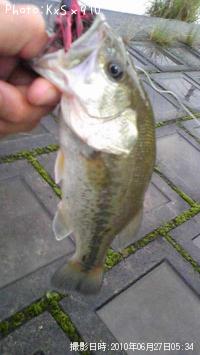 �֥�å��Х�