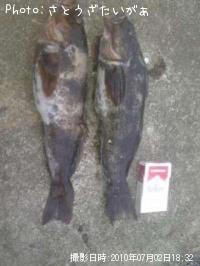 �����ʥ�