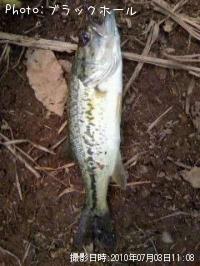 ¥Ö¥é¥Ã¥¯¥Ð¥¹