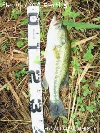 ¥Ö¥é¥Ã¥¯¥Ð¥¹