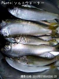 ���åѣ��䥻����