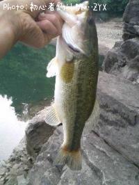 ¥Ö¥é¥Ã¥¯¥Ð¥¹