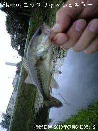 ¥Ö¥é¥Ã¥¯¥Ð¥¹