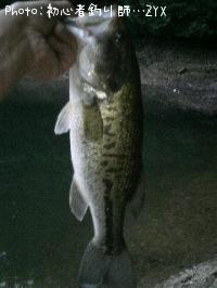 �֥�å��Х�