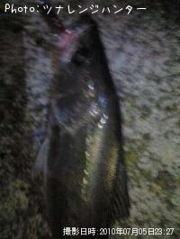 �����Х�