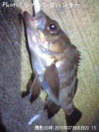 今シーズン初ゲット