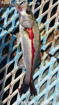 �����Х�