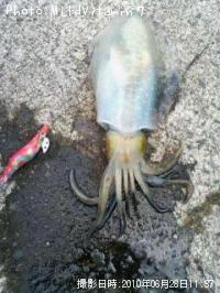 �����ꥤ��