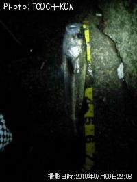 �����Х�