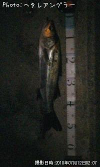 �����Х�