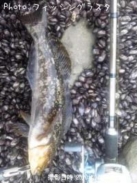 �����ʥ�