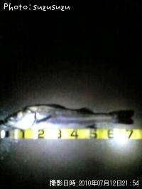 �����Х�