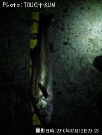 �����Х�