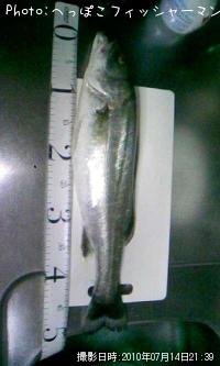 �����Х�