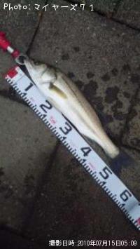 �����Х�