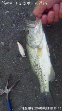 �֥�å��Х�