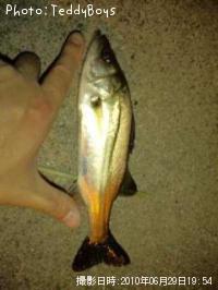 �����Х�