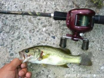 ¥Ö¥é¥Ã¥¯¥Ð¥¹