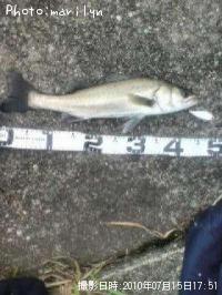 �����Х�