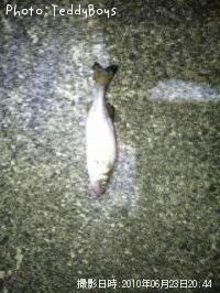 �����Х�