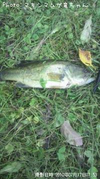 �֥�å��Х�