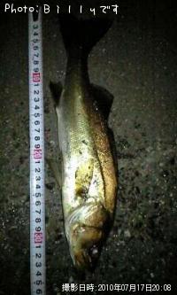 �����Х�